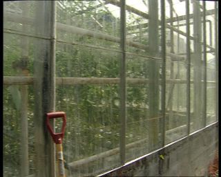 Link to Video | Norway, Scandinavia, 1990s