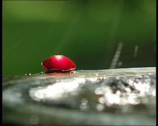 Link to Video | Norway, Scandinavia