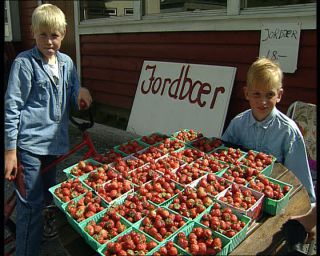 Link to Video | Norway, 1993, Scandinavia, color, standard-definition television, 90s, 1990s, Betacam SP