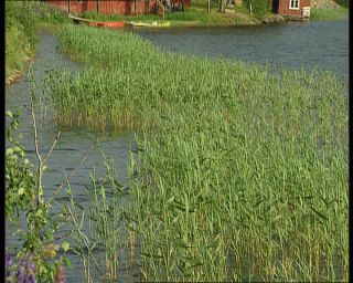 Link to Video | Norway, 1993, Scandinavia, color, Telemark, standard-definition television, 90s, 1990s, Betacam SP