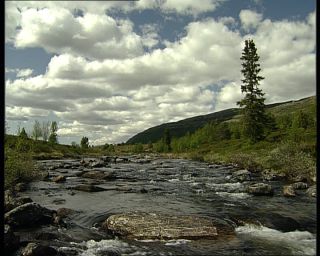 Link to Video | Norway, Scandinavia