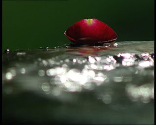 Link to Video | Norway, Scandinavia