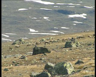 Link to Video | Norway, Scandinavia