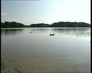 Link to Video | 1991, Sweden