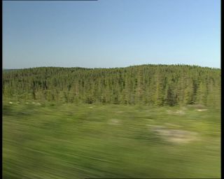 Link to Video | 1991, Sweden