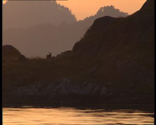 Link to Video | Norway, Scandinavia, Stavanger