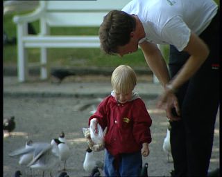 Link to Video | Norway, Scandinavia, Stavanger