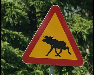 Link to Video | 1991, Sweden