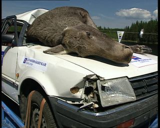 Link to Video | 1991, Sweden