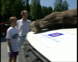 Link to Video | 1991, Sweden