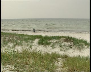 Link to Video | 1991, Sweden