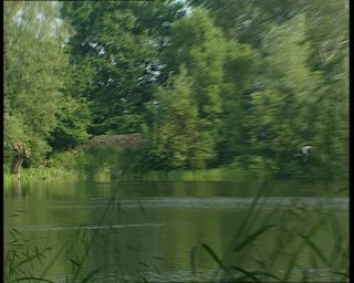 Link to Video | 1991, Sweden