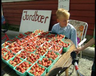 Link to Video | Norway, 1993, Scandinavia, color, standard-definition television, 90s, 1990s, Betacam SP