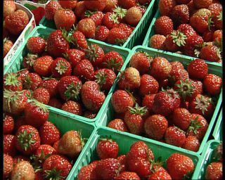 Link to Video | Norway, 1993, Scandinavia, color, standard-definition television, 90s, 1990s, Betacam SP