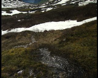 Link to Video | Norway, Scandinavia