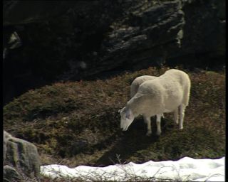 Link to Video | Norway, Scandinavia