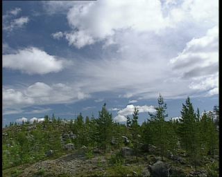 Link to Video | 1991, Sweden