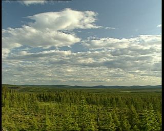 Link to Video | 1991, Sweden