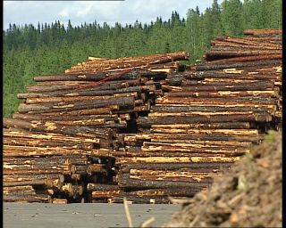 Link to Video | 1991, Sweden