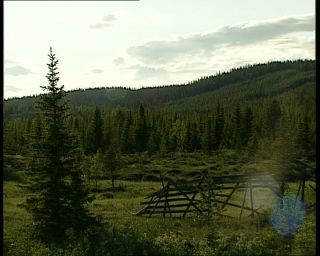 Link to Video | 1991, Sweden