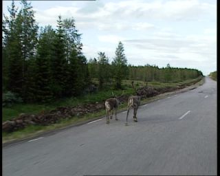 Link to Video | 1991, Sweden