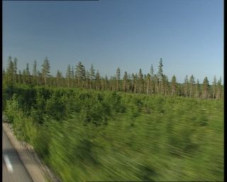 Link to Video | 1991, Sweden