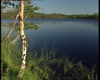 Link to Video | 1991, Sweden