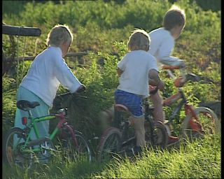 Link to Video | 1991, Sweden