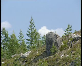 Link to Video | 1991, Sweden