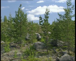 Link to Video | 1991, Sweden