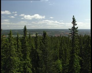 Link to Video | 1991, Sweden