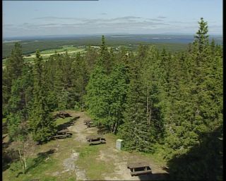 Link to Video | 1991, Sweden