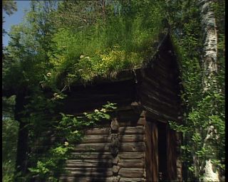 Link to Video | 1991, Sweden