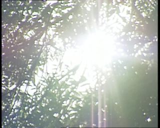 Link to Video | 1991, Sweden