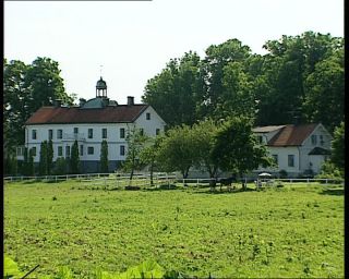 Link to Video | 1991, Sweden