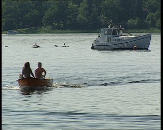 Link to Video | 1991, Sweden