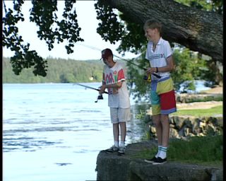 Link to Video | 1991, Sweden