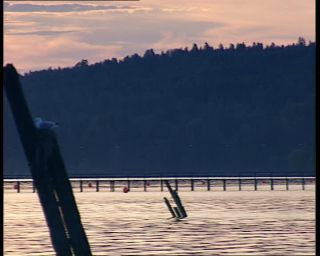 Link to Video | 1991, Sweden