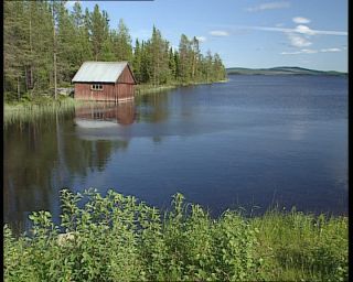 Link to Video | 1991, Sweden