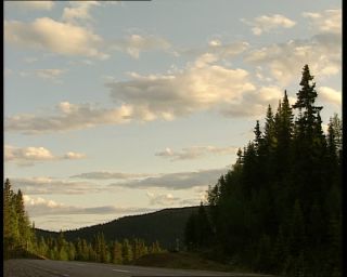 Link to Video | 1991, Sweden