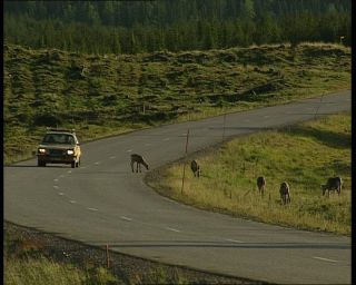 Link to Video | 1991, Sweden