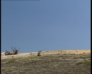 Link to Video | 1991, Sweden