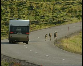 Link to Video | 1991, Sweden