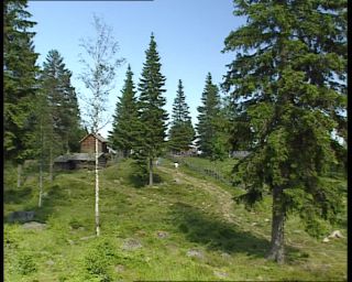 Link to Video | 1991, Sweden