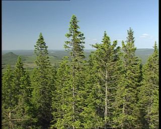 Link to Video | 1991, Sweden