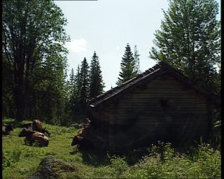 Link to Video | 1991, Sweden