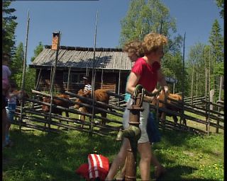 Link to Video | 1991, Sweden