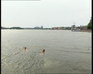 Link to Video | 1991, Sweden