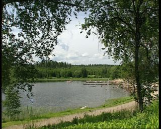 Link to Video | 1991, Sweden