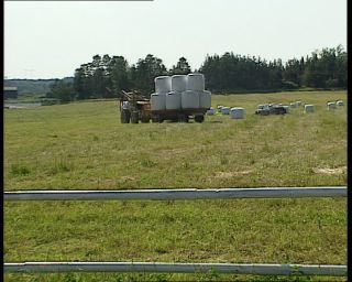 Link to Video | 1991, Sweden